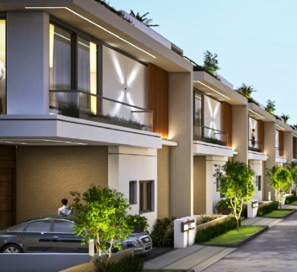 Mantoor Project Highlights